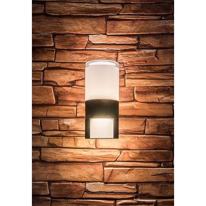 Rabalux - LED sieninis lauko šviestuvas LED/12W/230V IP44
