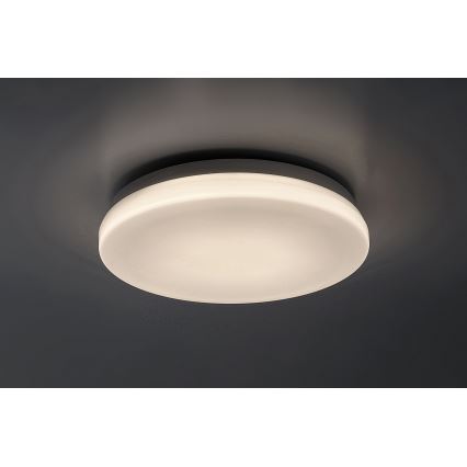 Rabalux - LED vonios kambario lubinis šviestuvas LED/12W/230V 3000/4000/6000K IP44 Ø 24 cm