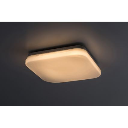Rabalux - LED vonios kambario lubinis šviestuvas LED/12W/230V 3000/4000/6000K IP44 24x24 cm