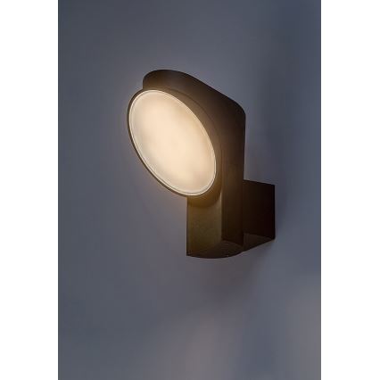 Rabalux - LED sieninis lauko šviestuvas LED/12W/230V IP54
