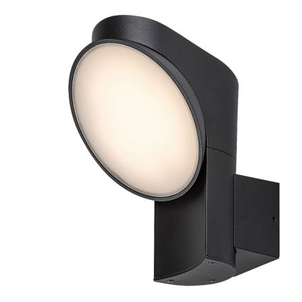Rabalux - LED sieninis lauko šviestuvas LED/12W/230V IP54