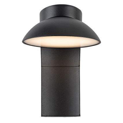 Rabalux - LED sieninis lauko šviestuvas LED/12W/230V IP54