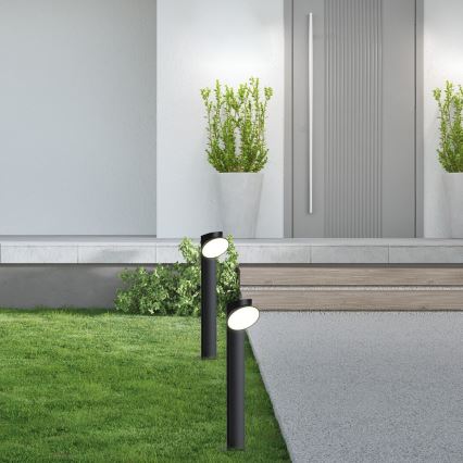 Rabalux - LED lauko šviestuvas LED/12W/230V IP54