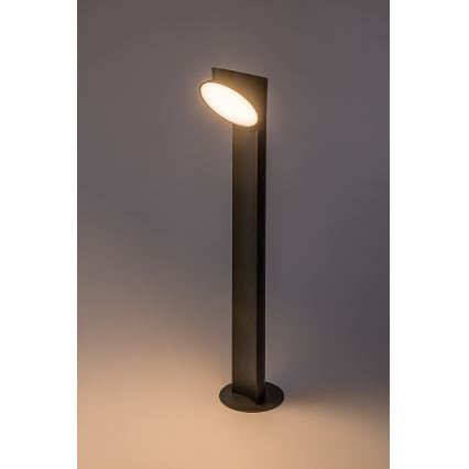 Rabalux - LED lauko šviestuvas LED/12W/230V IP54