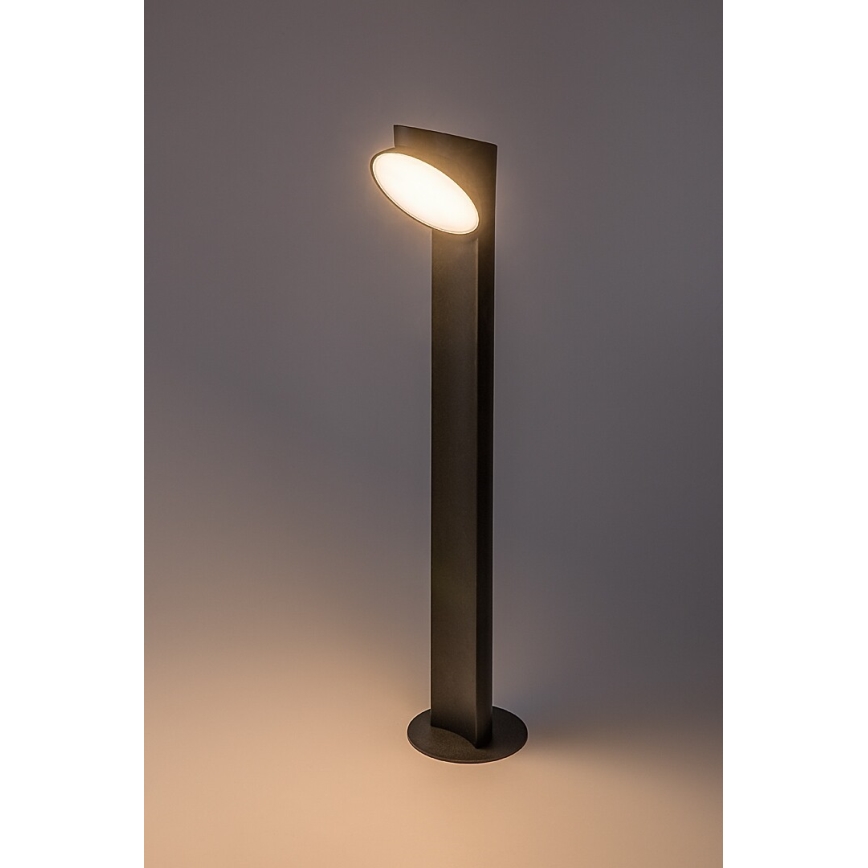 Rabalux - LED lauko šviestuvas LED/12W/230V IP54