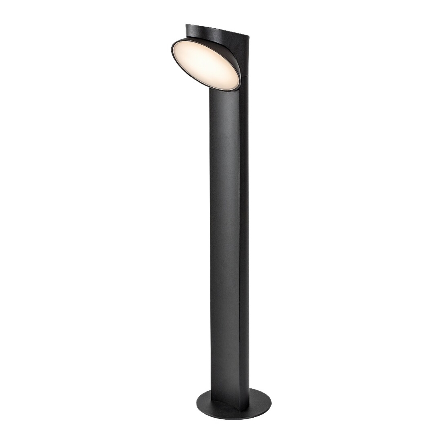 Rabalux - LED lauko šviestuvas LED/12W/230V IP54