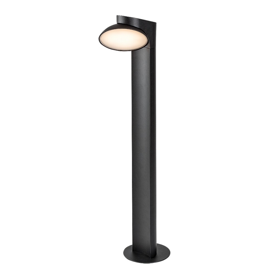 Rabalux - LED lauko šviestuvas LED/12W/230V IP54