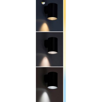 Rabalux - LED sieninis lauko šviestuvas LED/9W/230V 2700/4000/6500K IP65 juoda