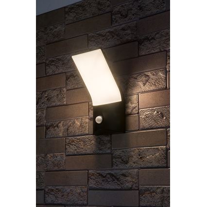 Rabalux - LED Lauko sieninis šviestuvas su jutikliu LED/10W/230V IP54