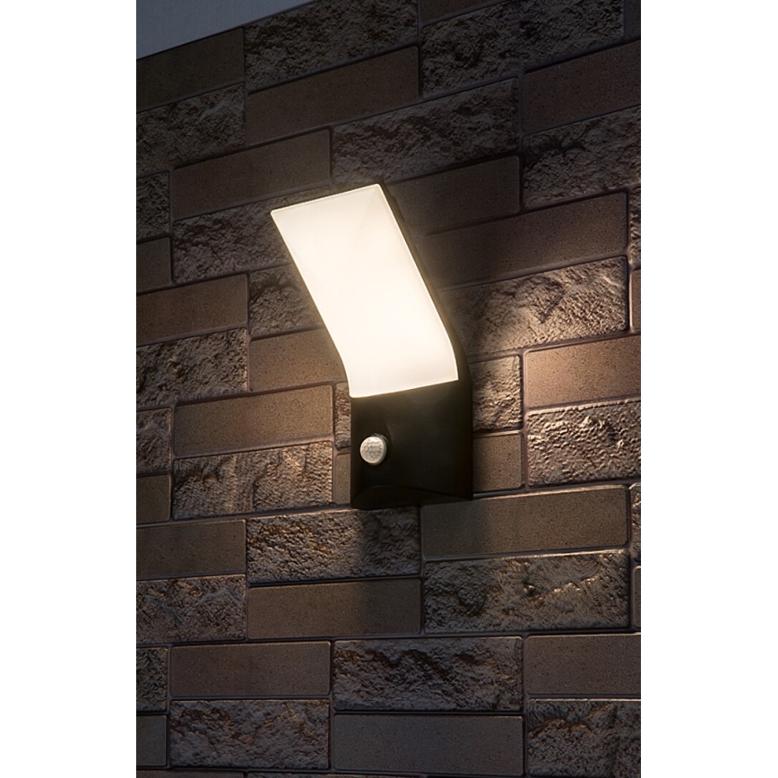 Rabalux - LED Lauko sieninis šviestuvas su jutikliu LED/10W/230V IP54