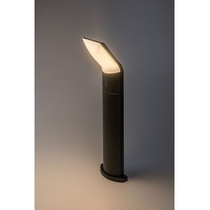 Rabalux - LED lauko šviestuvas LED/10W/230V IP54