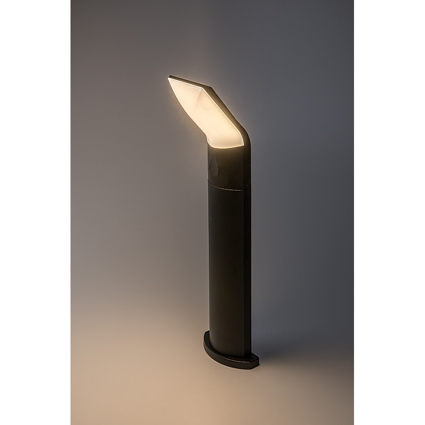 Rabalux - LED lauko šviestuvas LED/10W/230V IP54