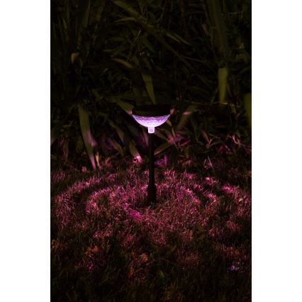Rabalux - LED RGB Saulės šviestuvas LED/0,1W/1,2V 600mAh IP44