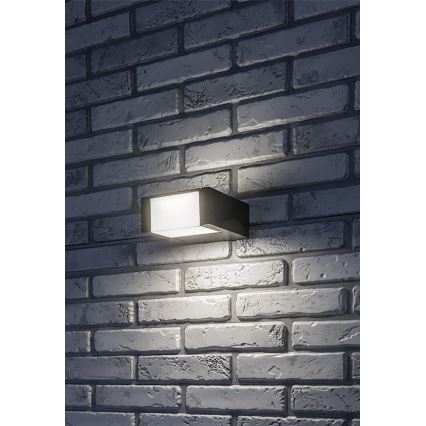 Rabalux - LED sieninis lauko šviestuvas LED/10W/230V IP54