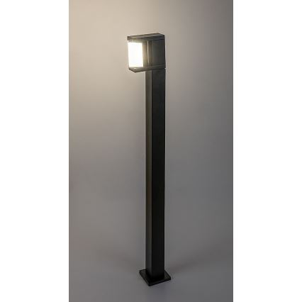 Rabalux - LED lauko šviestuvas LED/10W/230V IP54