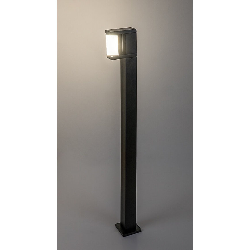 Rabalux - LED lauko šviestuvas LED/10W/230V IP54