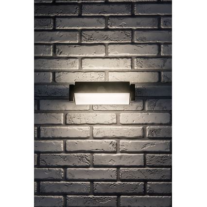 Rabalux - LED sieninis lauko šviestuvas LED/18W/230V IP54