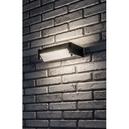 Rabalux - LED sieninis lauko šviestuvas LED/18W/230V IP54