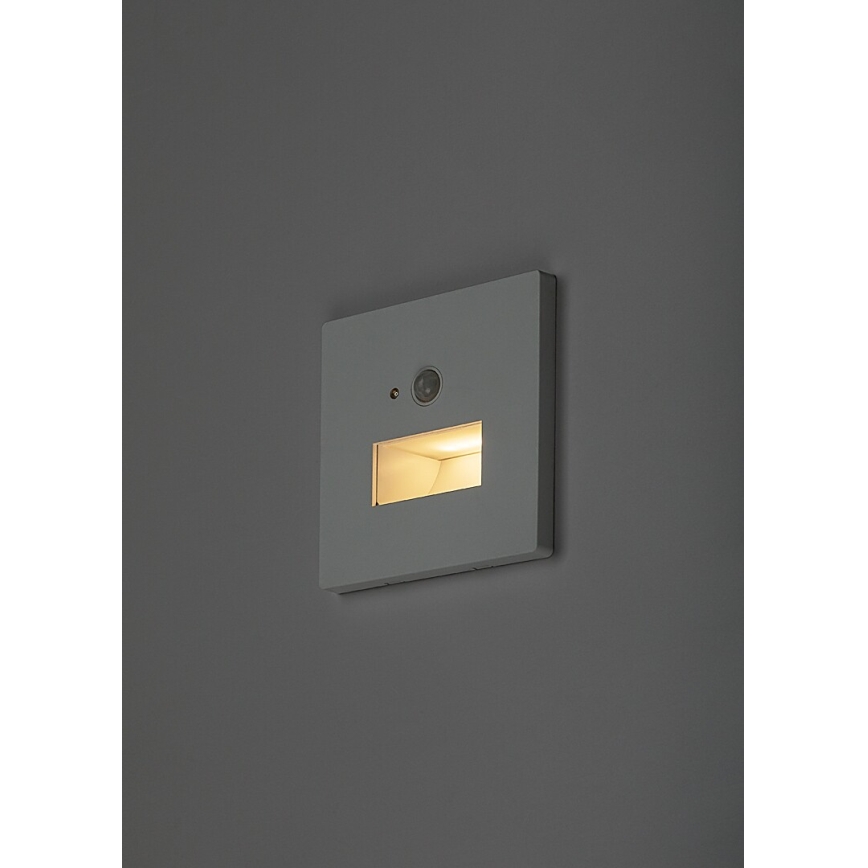 Rabalux - LED laiptų šviestuvas su judesio ir sutemų jutikliu LED/1W/230V 3000/4500/6500K baltas