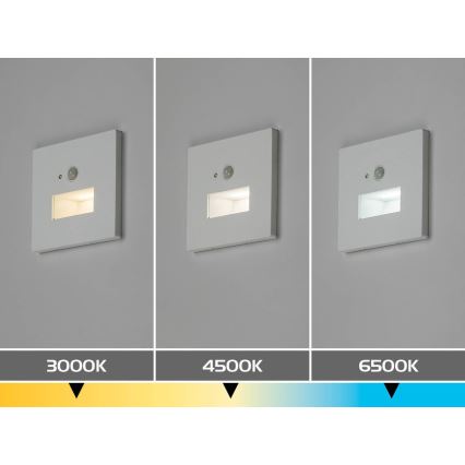 Rabalux - LED laiptų šviestuvas su judesio ir sutemų jutikliu LED/1W/230V 3000/4500/6500K baltas
