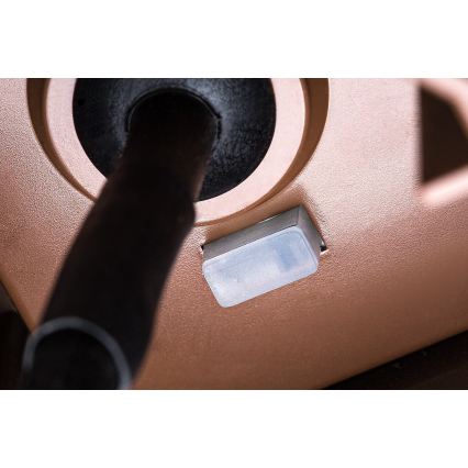 Rabalux - LED lauko sieninis šviestuvas LED/9W/230V IP65 rudos spalvos