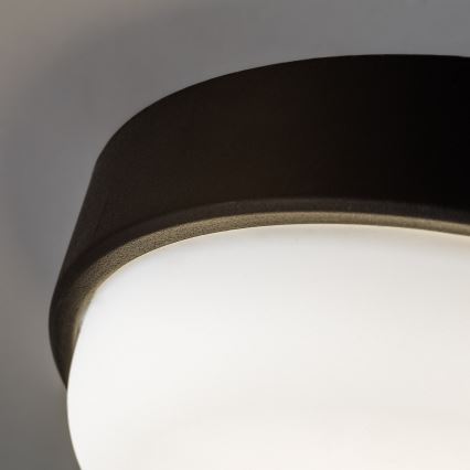 Rabalux - LED Lauko lubinis šviestuvas LED/14W/230V IP54 juodas