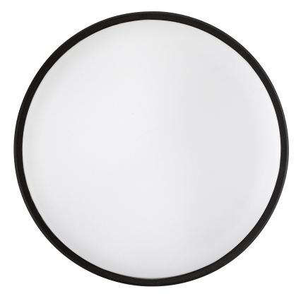 Rabalux - LED Lauko lubinis šviestuvas LED/14W/230V IP54 juodas