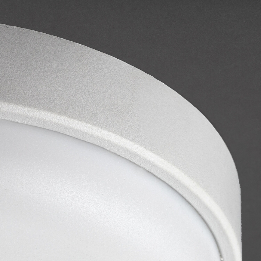 Rabalux - LED lauko lubinis šviestuvas LED/14W/230V IP54 baltas