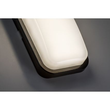 Rabalux - LED Lauko sieninis šviestuvas LED/15W/230V 4000K IP65