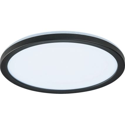 Rabalux - LED reguliuojamas lauko lubinis šviestuvas LED/15W/230V Wi-Fi Tuya 2700-6500K IP44 + nuotolinis valdymas