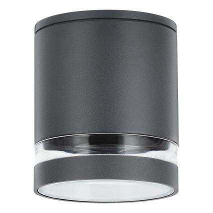 Rabalux - Lauko akcentinis šviestuvas 1xGU10/35W/230V apvalus IP54