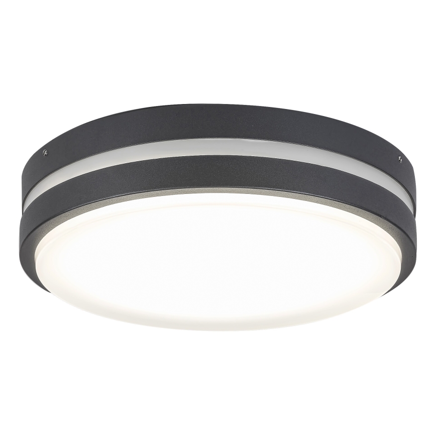 Rabalux 8848 - LED sieninis lauko šviestuvas HAMBURG LED/12W/230V IP44