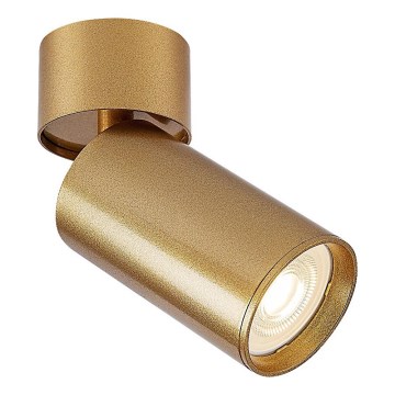 Rabalux - Akcentinis apšvietimas 1xGU10/5W/230V auksas