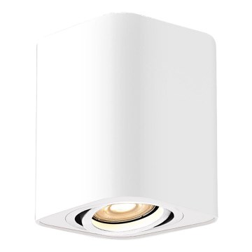 Rabalux - Akcentinis šviestuvas 1xGU10/42W/230V baltas