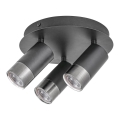 Rabalux - Akcentinis šviestuvas ZIRCON 3xGU10/5W/230V