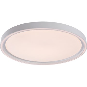 Rabalux - Dimeriuojamas LED lubinis šviestuvas LED/31W/230V IP40 3000-6500K skersmuo 41,5 cm + nuotolinis valdymas