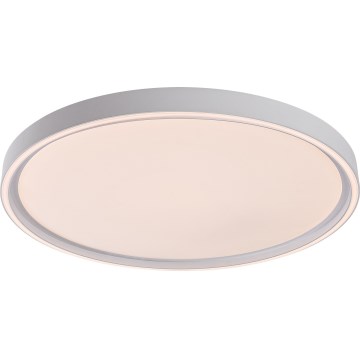 Rabalux - dimeriuojamas LED lubinis šviestuvas LED/54W/230V IP40 3000-6500K skersmuo 52 cm + nuotolinio valdymo pultas