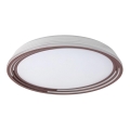 Rabalux - dimeriuojamas LED lubų šviestuvas, 36 W, 230 V, skersmuo 51,5 cm