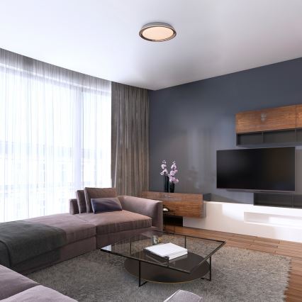 Rabalux - dimeriuojamas LED lubų šviestuvas, 36 W, 230 V, skersmuo 51,5 cm