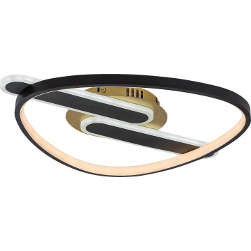 Rabalux - Dimeriuojamas lubinis LED šviestuvas LED/60W/230V 3000-6000K 53x45 cm + nuotolinis valdymas