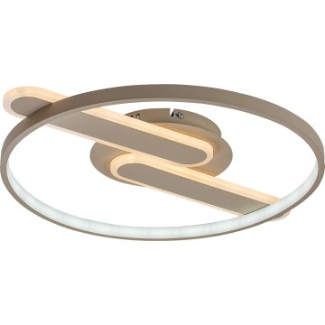 Rabalux - dimeriuojamas lubų LED šviestuvas LED/55W/230V 3000-6000K 53x45 cm + nuotolinis valdymas