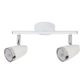 Rabalux - LED akcentinis šviestuvas 2xLED/4W/230V