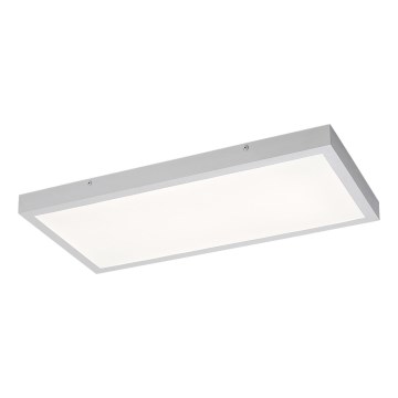 Rabalux - LED Ant pagrindo montuojama panelė LED/24W/230V 4000K 60x30 cm