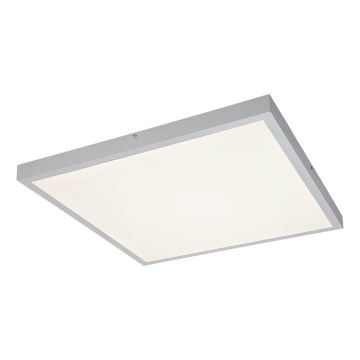 Rabalux - LED Ant pagrindo montuojama panelė LED/40W/230V 4000K 60x60 cm