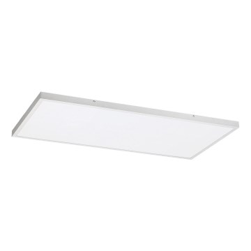 Rabalux - LED Ant pagrindo montuojama panelė LED/80W/230V 4000K 120x60 cm