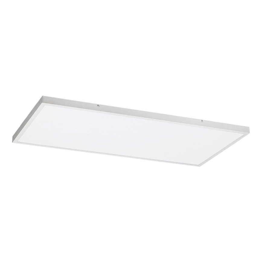 Rabalux - LED Ant pagrindo montuojama panelė LED/80W/230V 4000K 120x60 cm