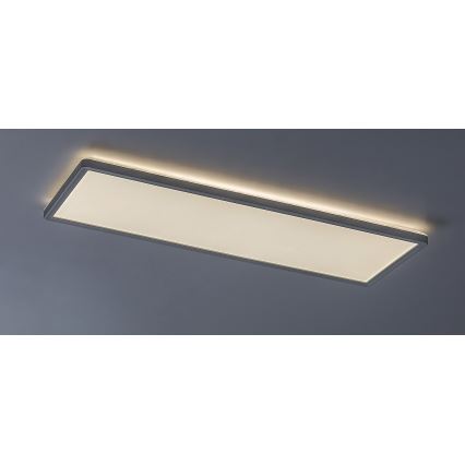 Rabalux - LED Ant paviršiaus montuojamas skydelis LED/22W/230V