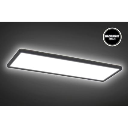 Rabalux - LED Ant paviršiaus montuojamas skydelis LED/22W/230V