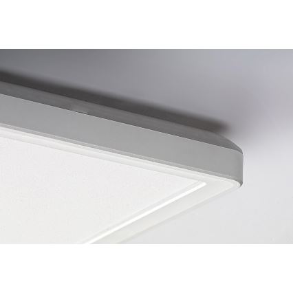 Rabalux - LED Ant paviršiaus montuojamas skydelis LED/22W/230V