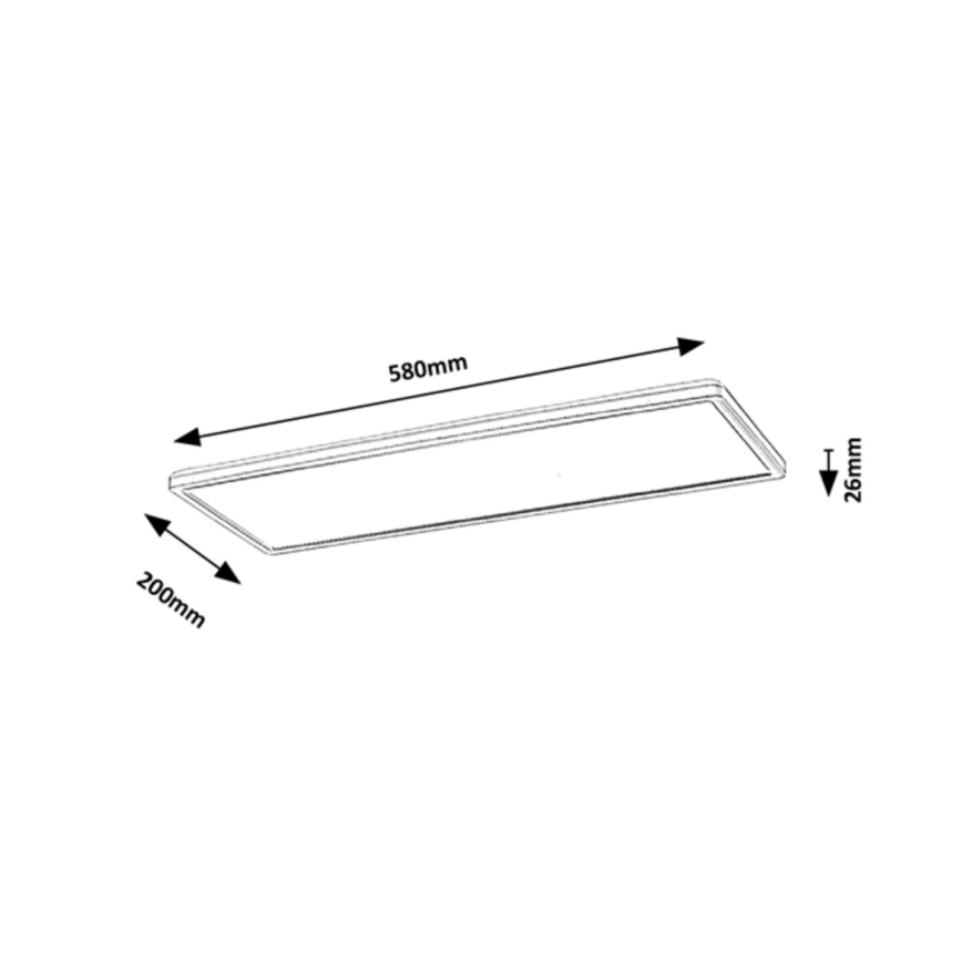 Rabalux - LED Ant paviršiaus montuojamas skydelis LED/22W/230V